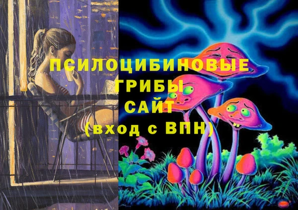 спиды Новодвинск