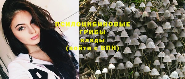 PSILOCYBIN Новозыбков